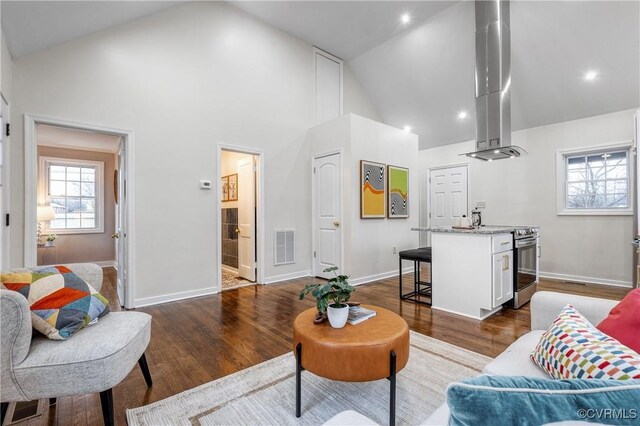 living room featuring high vaulted ceiling and hardwood / wood-style floors