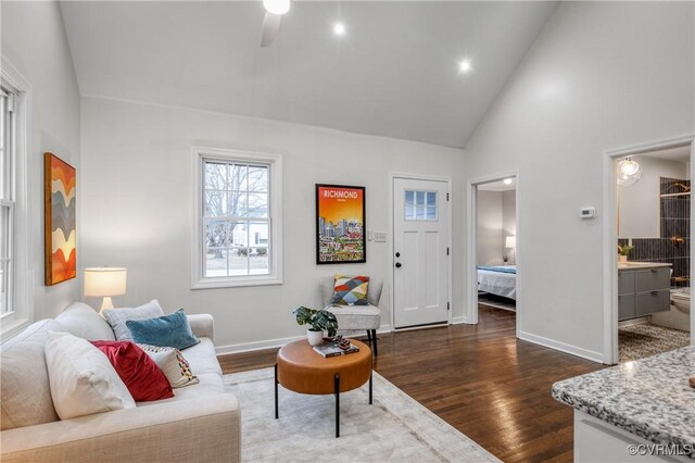 living room with high vaulted ceiling and dark hardwood / wood-style floors