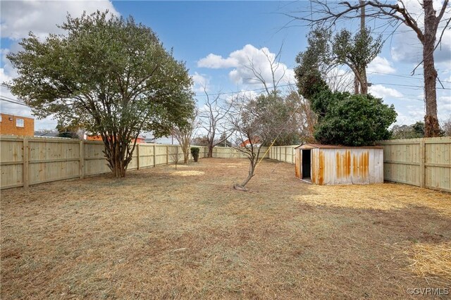 view of yard with a storage shed