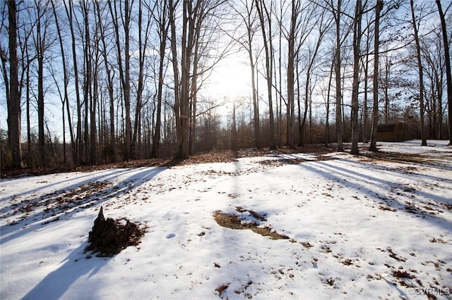 view of yard layered in snow