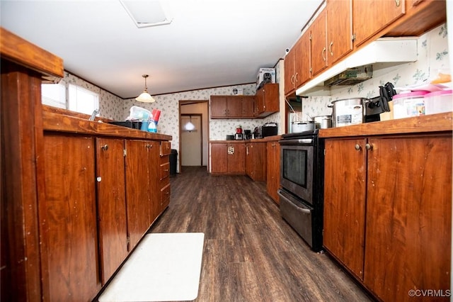 kitchen with hanging light fixtures, dark hardwood / wood-style floors, and stainless steel range with electric stovetop