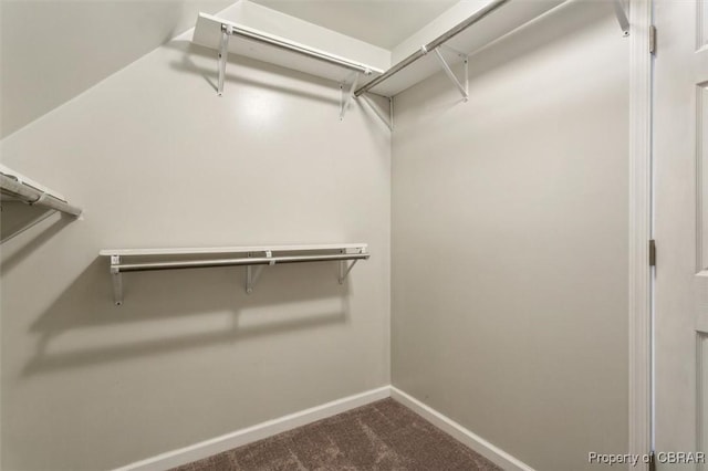 walk in closet featuring carpet flooring