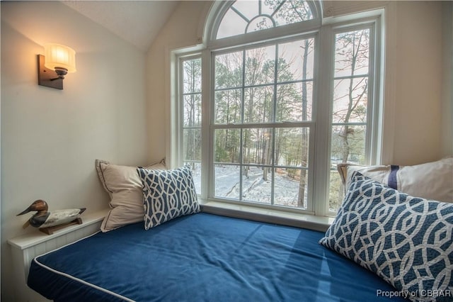 interior space featuring plenty of natural light, carpet flooring, and lofted ceiling