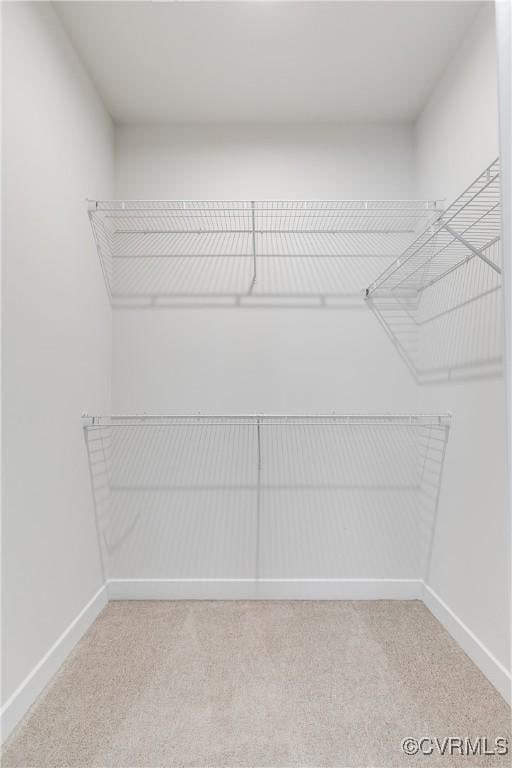 walk in closet with carpet flooring