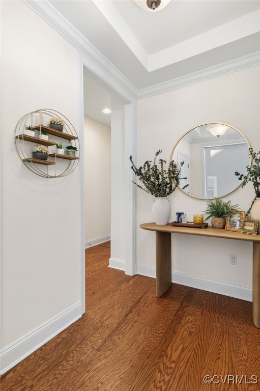 hallway featuring hardwood / wood-style flooring, a tray ceiling, and ornamental molding