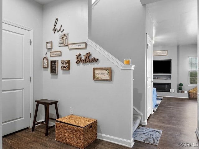 hall with dark hardwood / wood-style floors