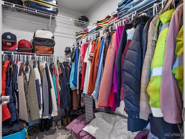 view of spacious closet