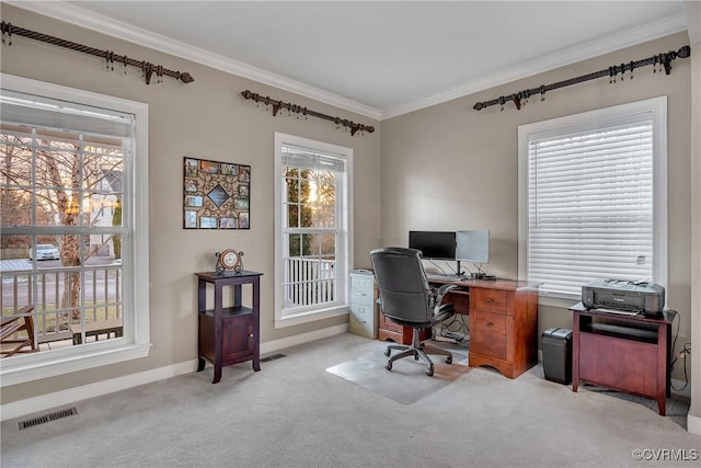 carpeted office with ornamental molding