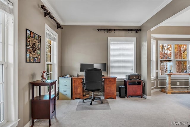 carpeted office space featuring ornamental molding and a healthy amount of sunlight