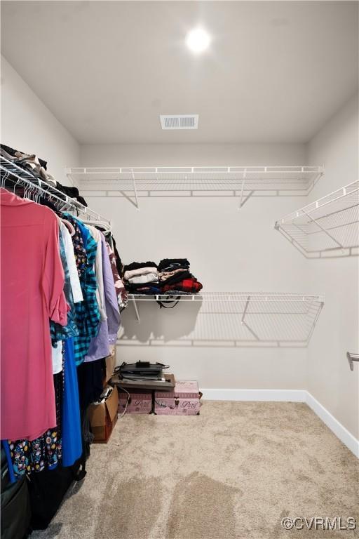 walk in closet with carpet flooring