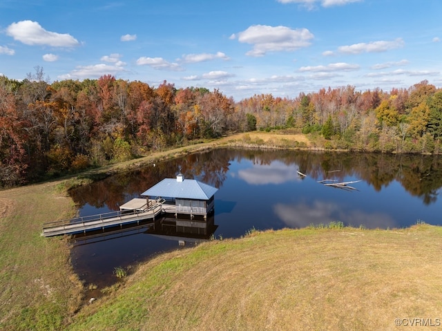 dock area with a water view