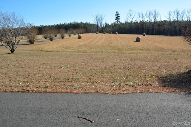 view of yard featuring a rural view