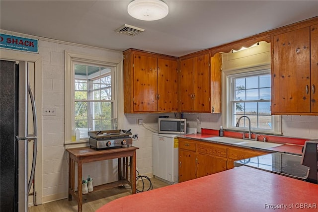 kitchen featuring sink, stainless steel appliances, and light hardwood / wood-style flooring