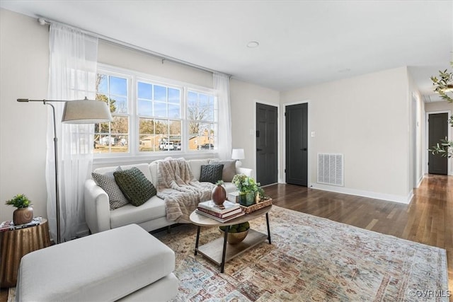 living room featuring wood-type flooring