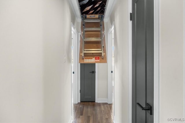 hallway featuring dark wood-type flooring