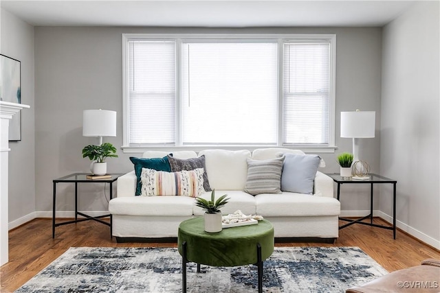 living room featuring wood-type flooring