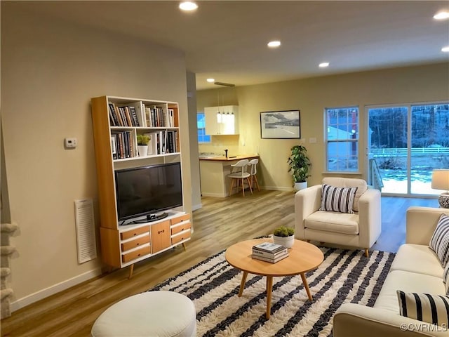 living room with hardwood / wood-style flooring