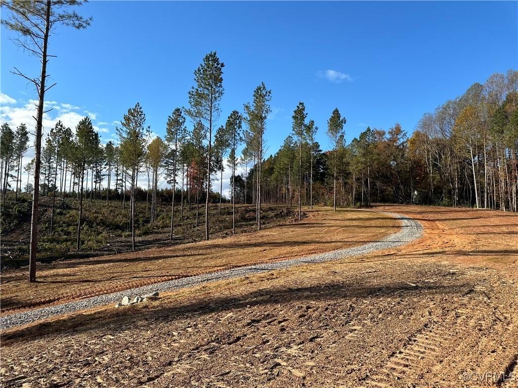 0 Amelia Springs Rd, Jetersville, VA 23083 - photo 1