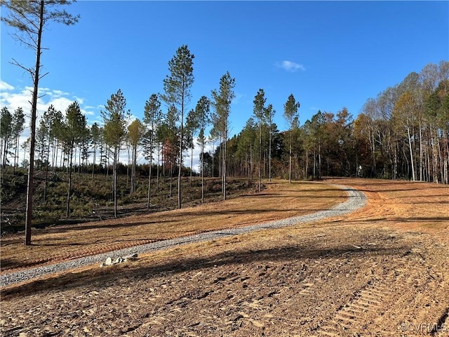 0 Amelia Springs Rd, Jetersville, VA 23083 - photo 1