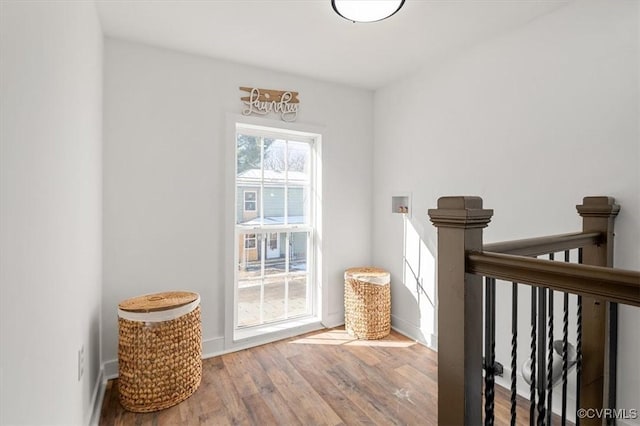 entryway featuring wood-type flooring