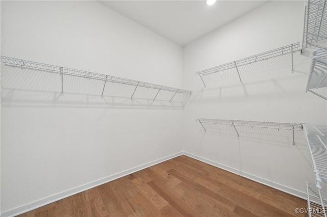 walk in closet featuring hardwood / wood-style flooring