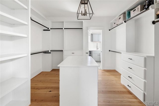 spacious closet featuring light hardwood / wood-style floors