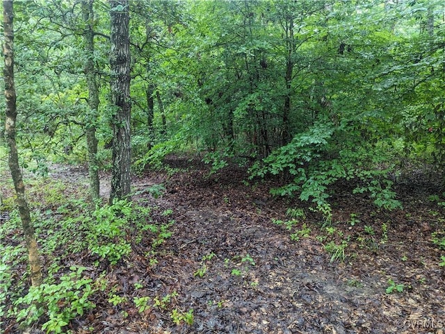 0 Good Hope Rd, Lanexa, VA 23089