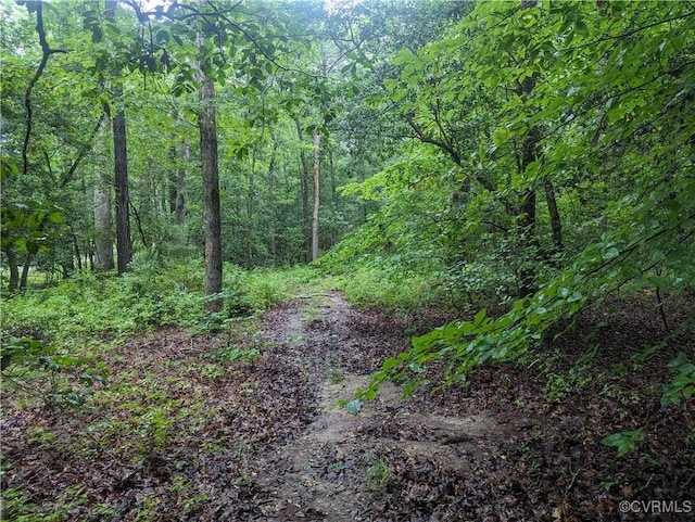 0 Good Hope Rd, Lanexa, VA 23089