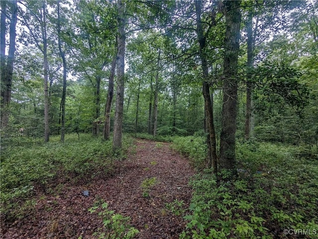 0 Good Hope Rd, Lanexa, VA 23089
