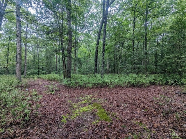 0 Good Hope Rd, Lanexa, VA 23089