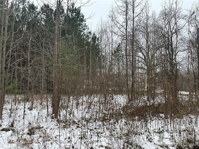 LOT5 Indian Valley Rd, Heathsville VA, 22473 land for sale