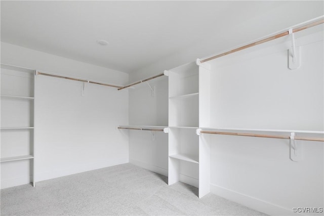 walk in closet with light colored carpet