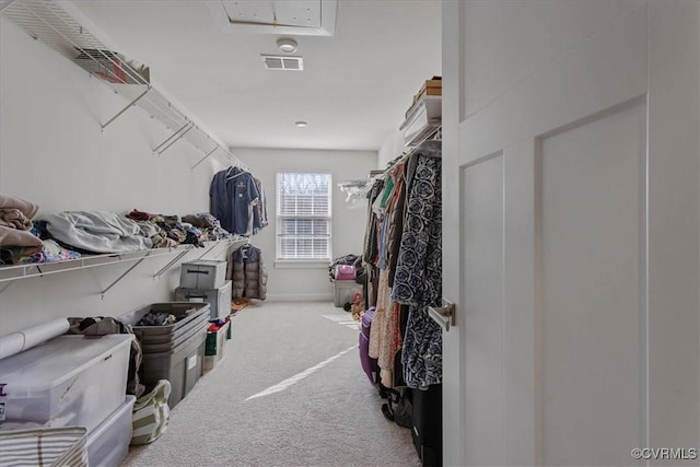 spacious closet with carpet, visible vents, and attic access