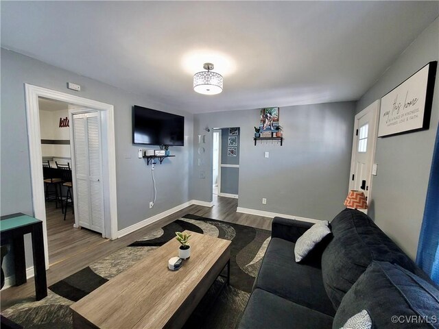 living room with hardwood / wood-style floors