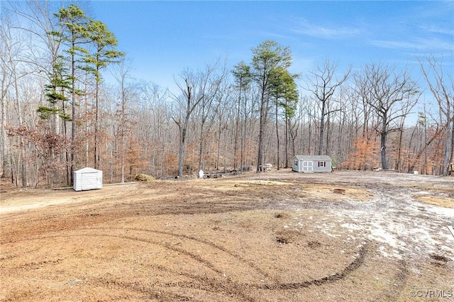 view of yard with a storage shed