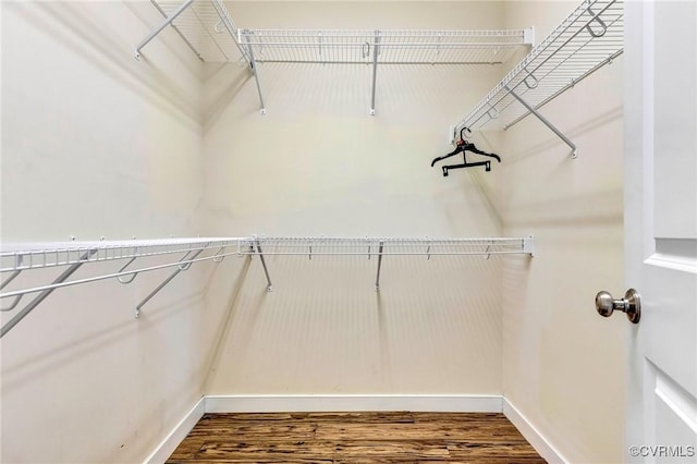 spacious closet with hardwood / wood-style flooring