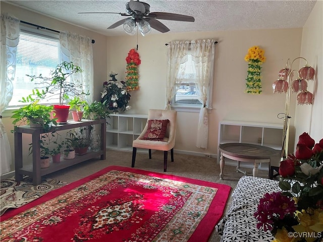 living area featuring ceiling fan, a textured ceiling, and carpet flooring