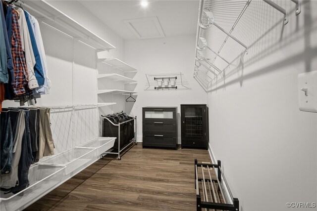 spacious closet featuring dark hardwood / wood-style flooring