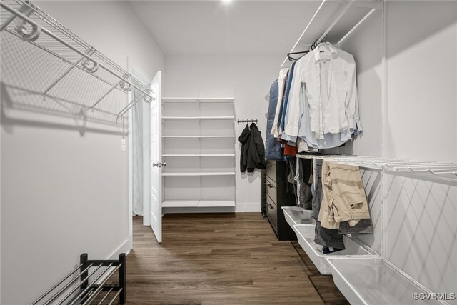 walk in closet with dark wood-type flooring