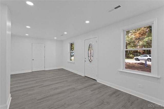 foyer entrance with hardwood / wood-style flooring