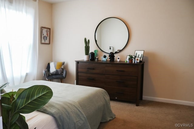 carpeted bedroom with multiple windows