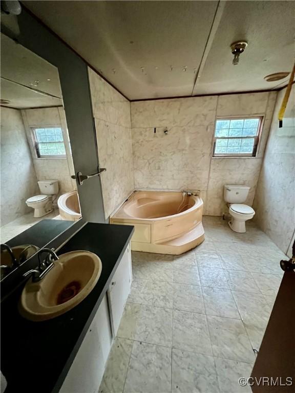 bathroom with vanity, a bathtub, and toilet