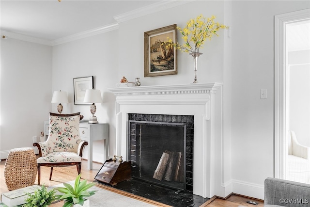 living area featuring wood-type flooring and ornamental molding