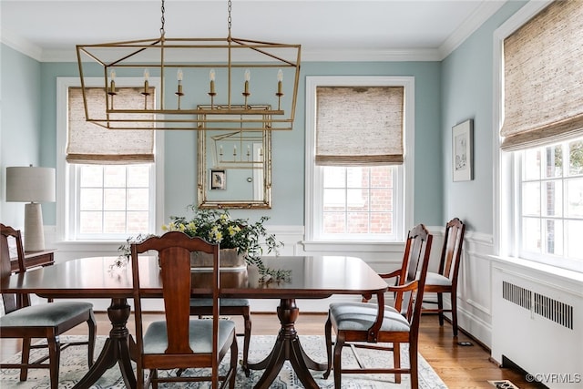 dining room featuring hardwood / wood-style floors, radiator heating unit, and a healthy amount of sunlight