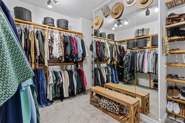 spacious closet with carpet floors