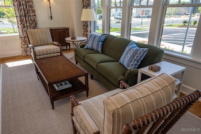 living room with hardwood / wood-style floors