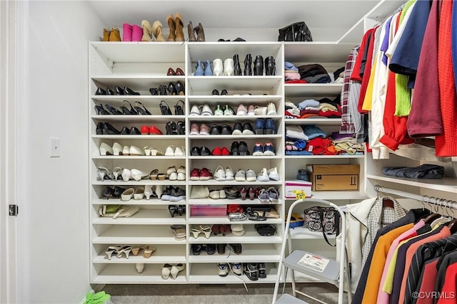 view of walk in closet