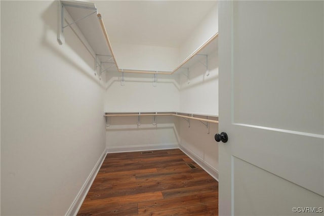 spacious closet featuring dark wood-type flooring