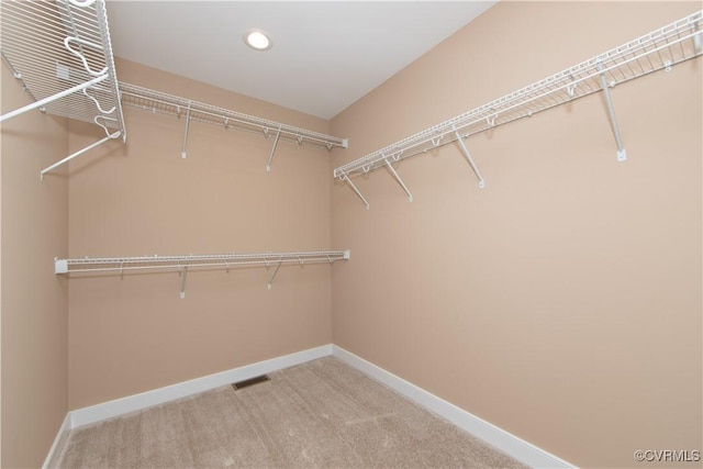 spacious closet featuring carpet