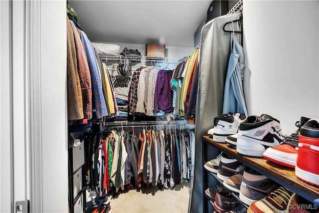 view of walk in closet